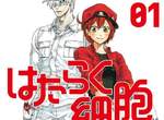 《細胞擬人化漫畫》原來人類的身體中有那麼多美形細胞… 《細胞擬人化漫畫》原來人類的身體中有那麼多美形細胞…