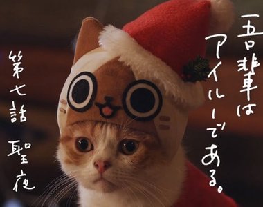 超可愛《魔物獵人聖誕艾路貓廣告》吵著要禮物的貓咪讓人心裡暖洋洋~