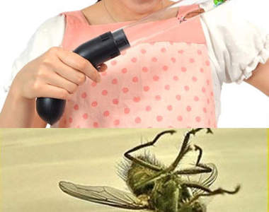 《蟲蟲吸管槍》沒男朋友幫忙的妳以後也可以輕鬆對付小強