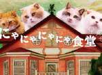 超電波《喵喵喵喵食堂》讓聲優們壞掉的罪魁禍首喵 超電波《喵喵喵喵食堂》讓聲優們壞掉的罪魁禍首喵