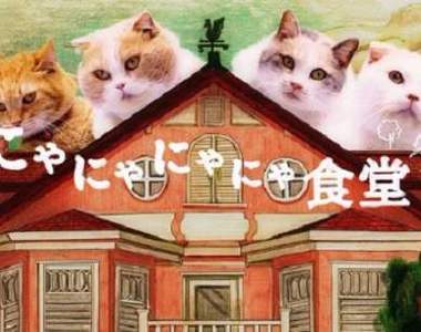 超電波《喵喵喵喵食堂》讓聲優們壞掉的罪魁禍首喵