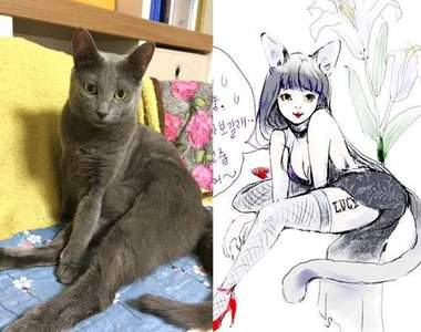 《寵物擬人化》除了貓狗以外鳥魚鼠也行唷