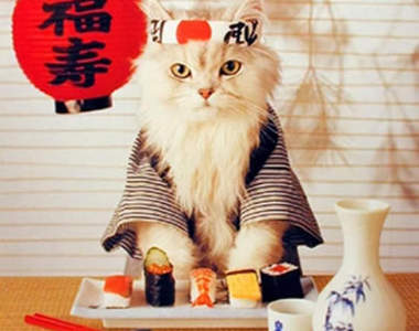 《老外的壽司教學》請從用筷子開始學習