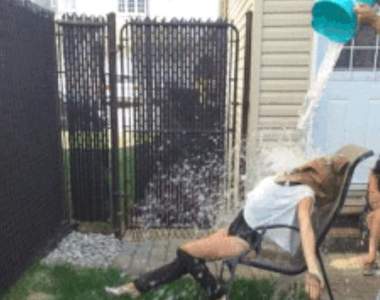 《2014我們一起轉發的14件事》沒轉發可能也按過讚