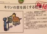 《動物園飼育員的秘密任務》原來熊貓是這樣染色的? 《動物園飼育員的秘密任務》原來熊貓是這樣染色的?