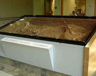 都市傳傳說《希臘神話中的魔幻生物》引發熱議的驚人骸骨究竟是？