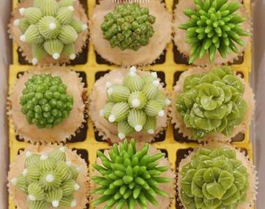 《偽仙人掌杯子蛋糕》這次不讓你刺刺der的唷