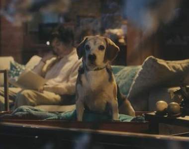 《日本TOYOTA感人廣告》有我在我不會讓你寂寞（汪）