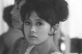 《日本老牌女星的少女時代》網友心目中年輕時最正的又是哪位呢? 《日本老牌女星的少女時代》網友心目中年輕時最正的又是哪位呢?