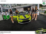 《Skoda Fabia Combi R5》旅行概念好身手 《Skoda Fabia Combi R5》旅行概念好身手