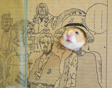 主人的新樂趣?《倉鼠的Cosplay》整個萌萌der