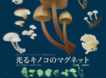 《夜光香菇磁鐵》相當有「長香菇」的感覺 《夜光香菇磁鐵》相當有「長香菇」的感覺