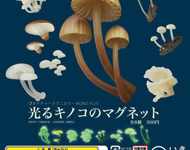 《夜光香菇磁鐵》相當有「長香菇」的感覺