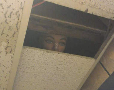 《假人模特兒第二趴》其實它們是店員上班的樂趣之一？（笑）