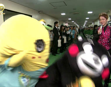 《熊本熊爆笑動圖》各種出糗的哭馬萌太好笑惹www