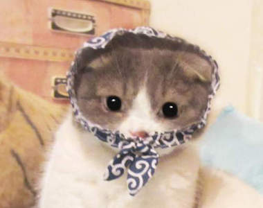 《貓小偷系列轉蛋》因為太可愛了 就讓你偷個夠吧……