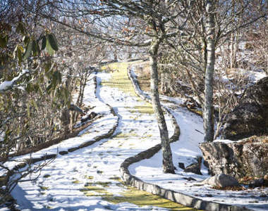 廢棄《綠野仙蹤樂園》真的變成仙境之國了
