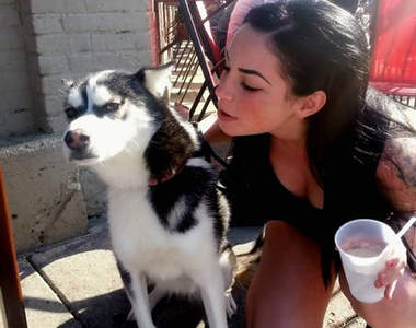 《不爽自拍的動物》尊重一下動物的肖像權(?)好嗎 ಠ_ಠ