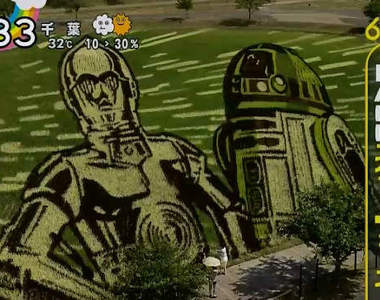 暑假好去處《星際大戰稻田彩繪》種出來的米有原力加持嗎?