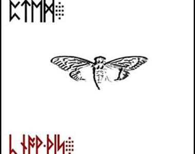 都市傳傳說《蟬3301》被譽為史上最難解的網路謎題之一