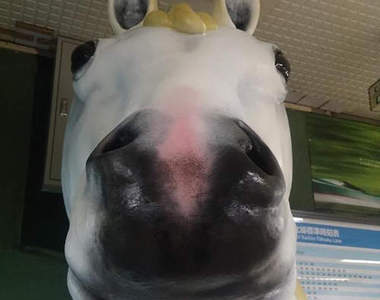 車站突然出現的巨型白馬 應該不是來接我回家的吧ww(嗯?)