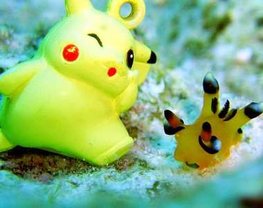 《真實版神奇寶貝Part2》自然萬物真是奧妙