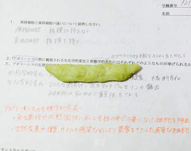 《吃貨念書法》答對了就可以把零食吃掉唷~( *¯ ³¯*)♡吃吃