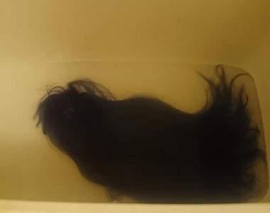 日本網友的《真實恐怖體驗》可是天氣已經沒那麼熱咧...（抖）