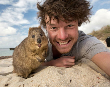 《總是能和動物自拍的男子》難道你就是真實版怪醫杜立德!?