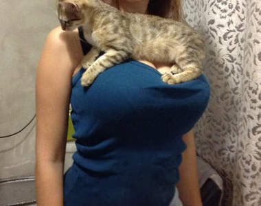 《踏咪咪的貓貓》軟軟的好好壓噢~喵嗚 ❤