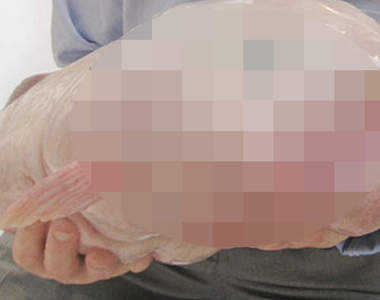 好可怕系列《10種醜醜的生物》有些根本就讓人發毛啊