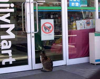 日本《便利商店的看門貓》搶劫不要動~交出貓罐頭(咦?)