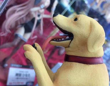 《18禁主婦與狗模型》牠絕對不是純潔可愛的狗狗 不要被騙了……