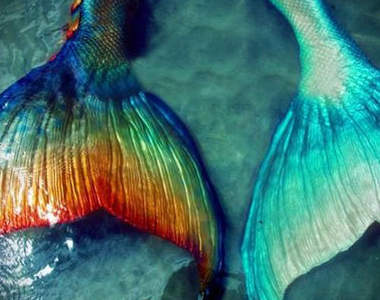 都市傳傳說《蘇格蘭超有名的美人魚》她的名字叫做 Deerness