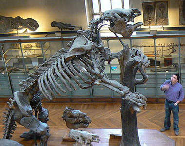 好可怕系列《5 種巨大史前生物》如果牠們活到現在絕對不想遇見啊