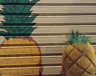 《頂著鳳梨頭參加體育祭》早知道我也弄個怪髮型就可以被女同學包圍了……