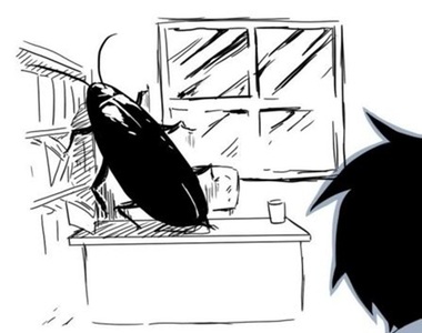 都市傳傳說《韓國短篇傳說》蟑螂可以讓痘痘消失?