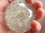 簡易教學《蒲公英水晶球》超夢幻物品成本其實超級低? 簡易教學《蒲公英水晶球》超夢幻物品成本其實超級低?