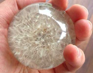 簡易教學《蒲公英水晶球》超夢幻物品成本其實超級低？