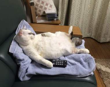 《大學生的看電視習慣》是說有網路誰還要看電視呢?