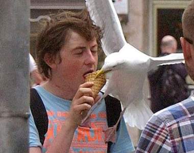 《意外發生的瞬間照》趴兔 就算在大庭廣眾之下也沒人可以阻止的悲劇(淚笑)