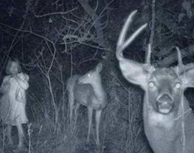 《野外攝影機捕捉到的奇妙照片》半夜深山森林裡的神祕畫面