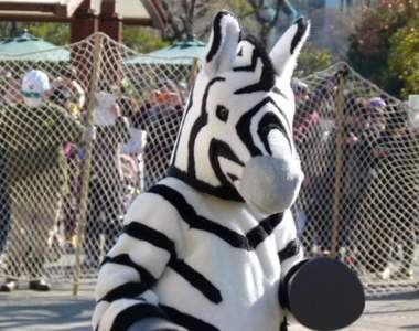 東京上野動物園《斑馬脫逃演習》動物的演技一年比一年還進步？