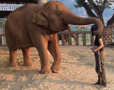 霸氣外洩《大象抱人的方式》帥氣指數瞬間破表