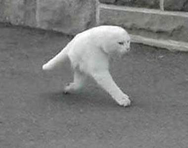 《失敗的全景攝影》你們都快回各自的星球去吧 地球是很危險滴(◉◞౪◟◉ )