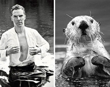 《班乃狄克與水獺》完整版 不管什麼時候都與水獺高度相似～