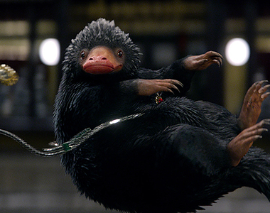 《怪獸與牠們的產地》現實版玻璃獸到底是哪種動物呢？