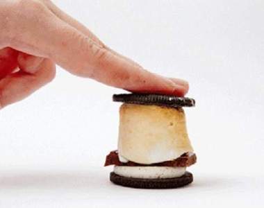 用言語無法形容的《療癒動圖》星期一就是要看這些才過癮(✪ω✪)