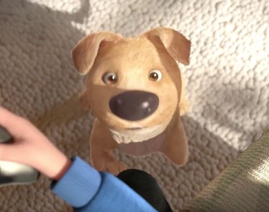 短片《三隻腳的狗》正當你以為這是虐待動物時......