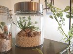 《DIY瓶罐盆栽》輕鬆自己動手做讓你感覺笑意的小確幸擺飾 《DIY瓶罐盆栽》輕鬆自己動手做讓你感覺笑意的小確幸擺飾